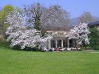 Fruehling in Baden Baden (14) 